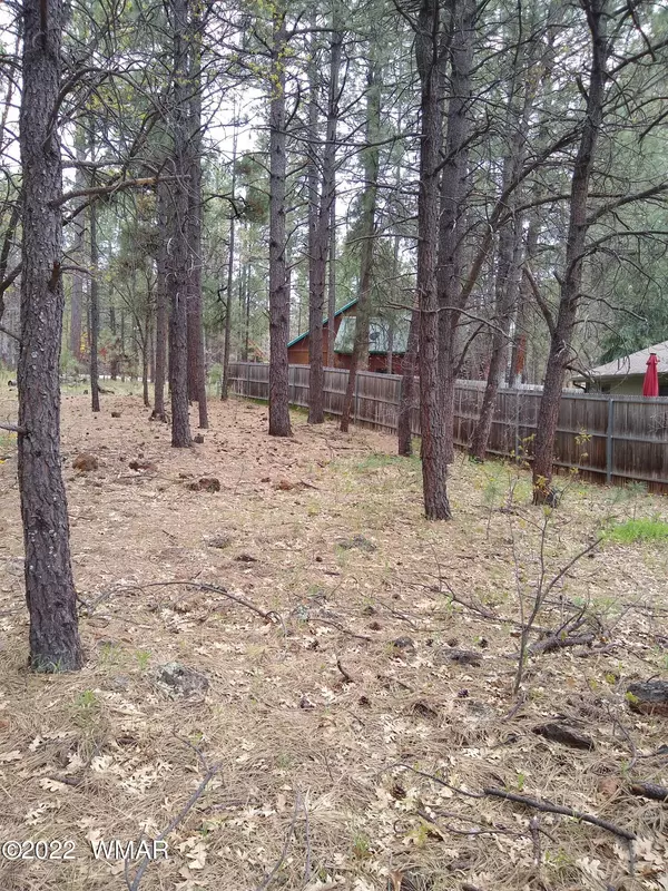 Pinetop, AZ 85935,4977 Mallard CIR