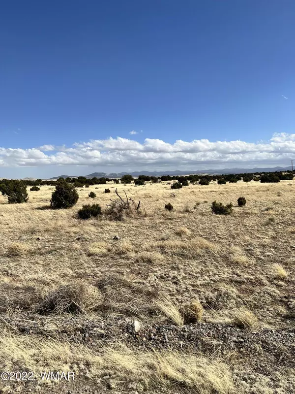 Concho, AZ 85924,TBD Windsor Valley Ranch 197