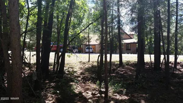 Pinetop, AZ 85935,3887 E Bermuda CIR