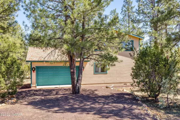 Overgaard, AZ 85933,2367 Chandelle LN