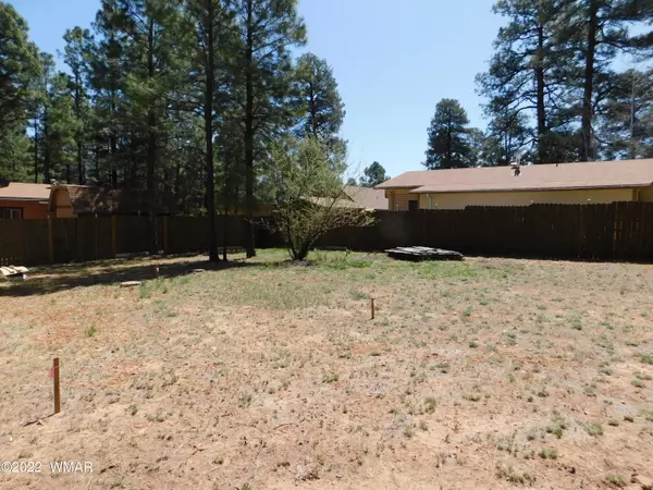 Overgaard, AZ 85933,2891 Big Pine RD