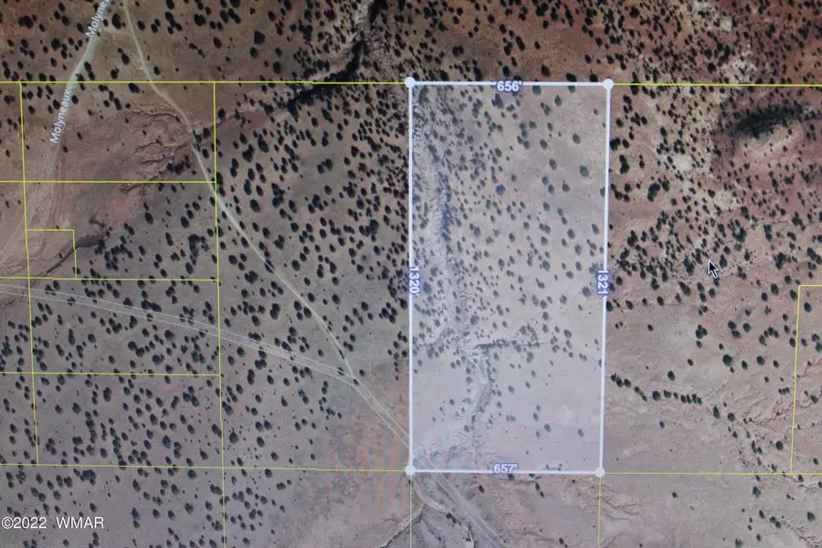 002 Molyneaux, Concho Valley, AZ 85924