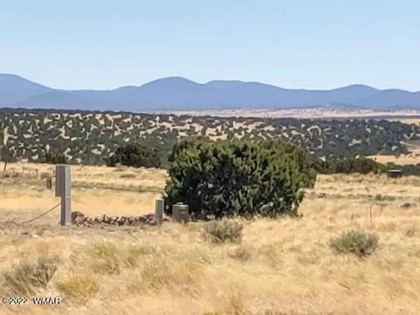 Concho, AZ 85924,32 County Road 5079  #5A