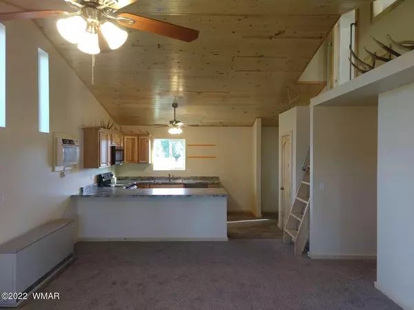 Overgaard, AZ 85933,2268 Meadow LN