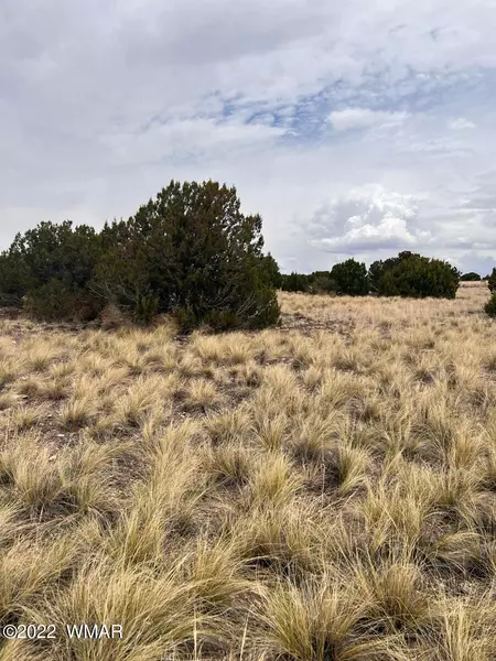 12 CR 5082, Concho Valley, AZ 85924