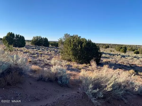 St. Johns, AZ 85936,Lot 230 Red Sky Ranch