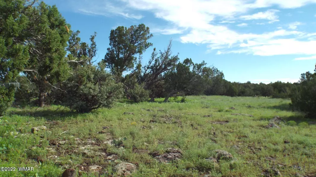 424 County Rd 8052, Concho, AZ 85924