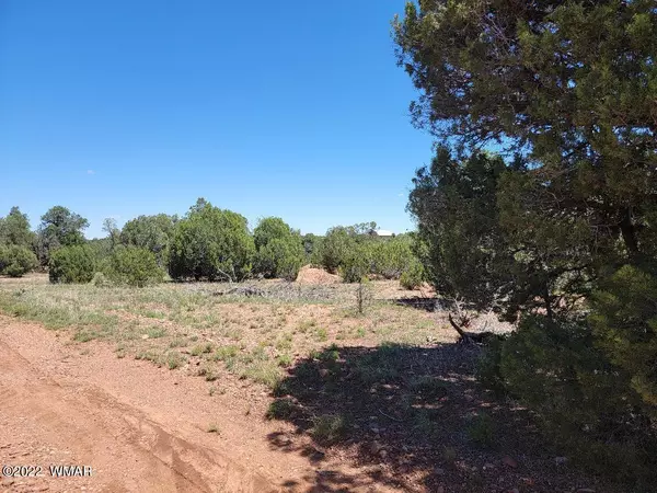 3518 Cedar Creek DR, Overgaard, AZ 85933