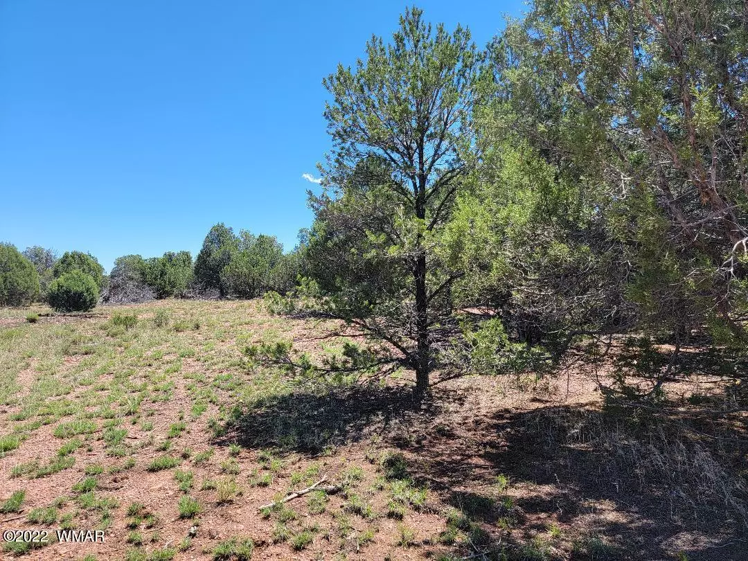 Overgaard, AZ 85933,3526 Cedar Creek DR