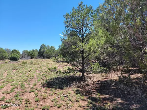 3526 Cedar Creek DR, Overgaard, AZ 85933