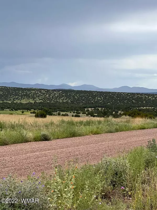 Concho Valley, AZ 85924,39 County Road 5084