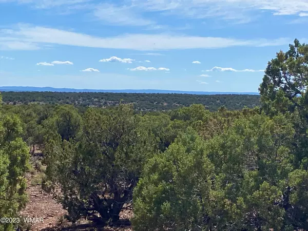 TBD Rebel Yell 38.83 Acres,  White Mountain Lake,  AZ 85912