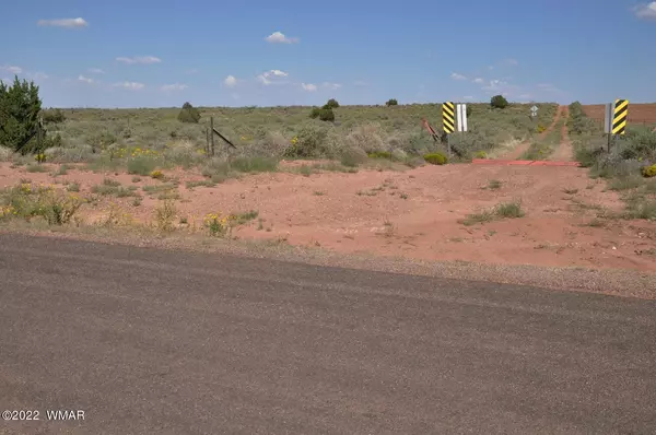 Snowflake, AZ 85937,161 acres Rockin R Ranch Trl