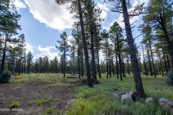 Lakeside, AZ 85929,TBD Deer Run Road Lot 2