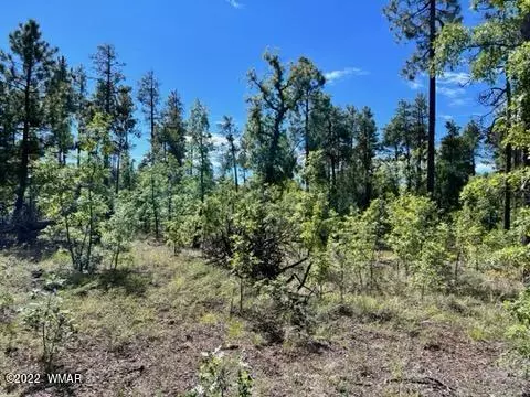 Pinetop, AZ 85935,900V E RIM ROAD