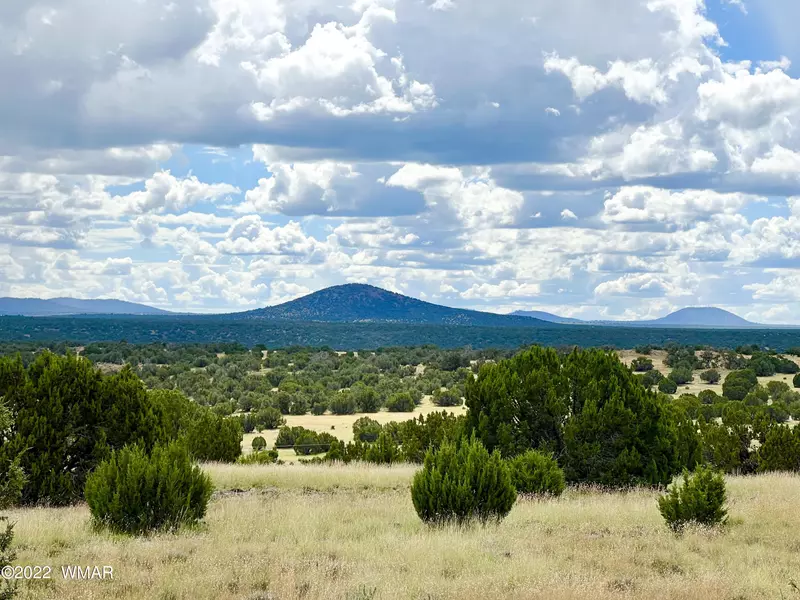 29 County Road 8250, Concho, AZ 85924