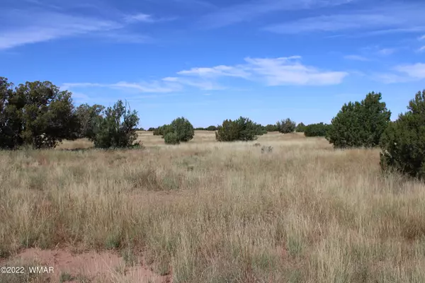 Concho, AZ 85924,Lot 80 Ranch of the White Mountains