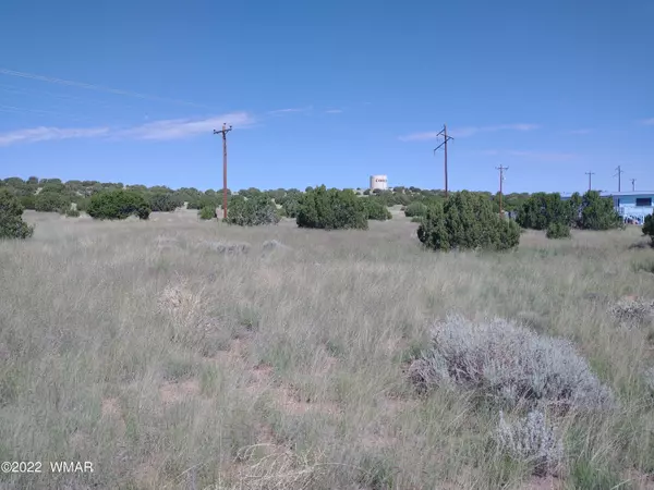 Concho, AZ 85924,69 Alpine LN