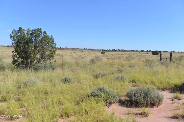 Snowflake, AZ 85937,Lot 11 N Old Woodruff Rd