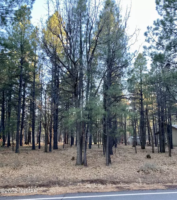 4337 Branding Iron LOOP, Pinetop, AZ 85935