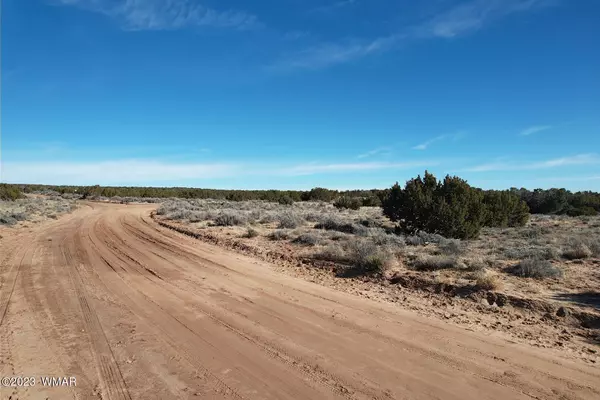 St. Johns, AZ 85936,Red Sky Ranch Lot 144 50 Acres