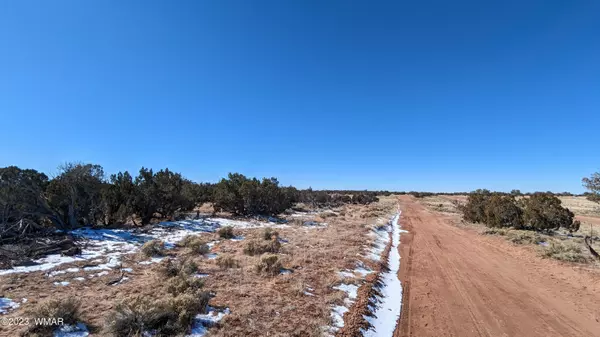 St. Johns, AZ 85936,Lot 18 Carrizo Ranch