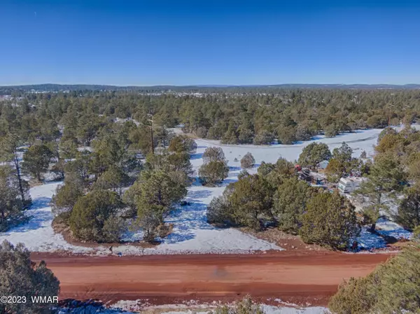 Lakeside, AZ 85929,3906 Porter Creek LN