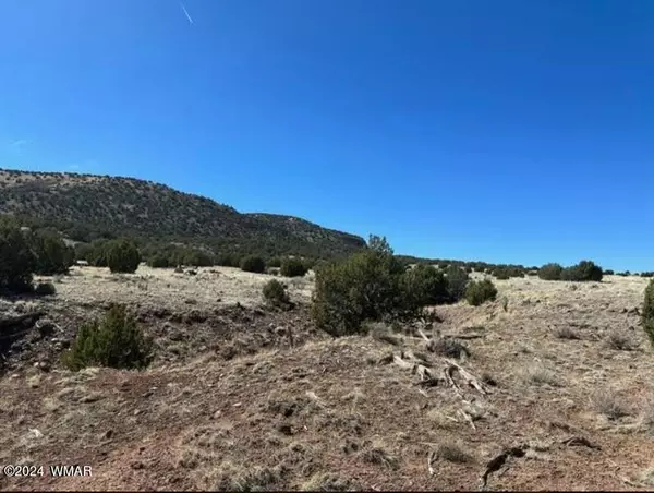 Concho, AZ 85924,Lot 61 Pinon Valley Ranch