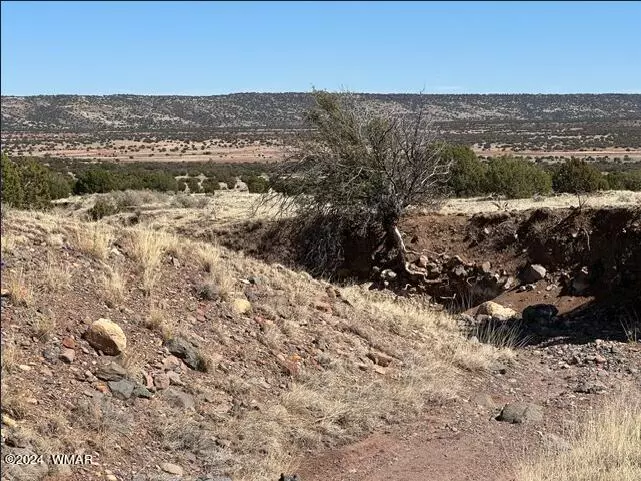 Lot 61 Pinon Valley Ranch, Concho, AZ 85924