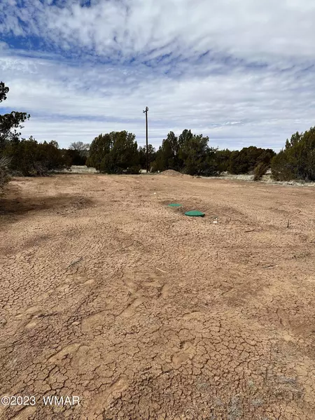 TBD Caddie LN, Concho Valley, AZ 85924