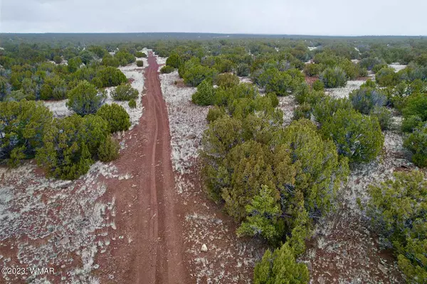 Concho, AZ 85924,126 County Rd 8057