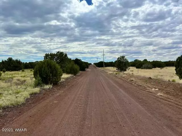 130 County Rd 8057, Concho, AZ 85924