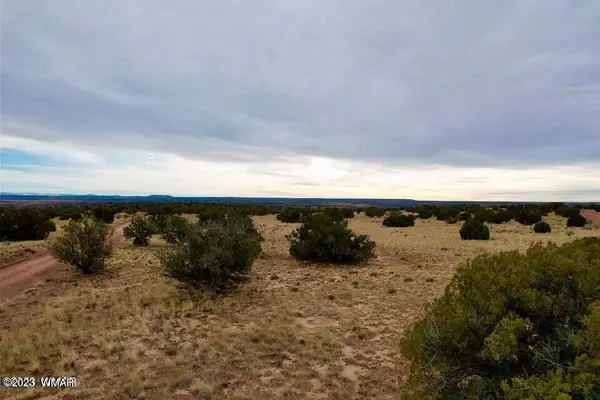 Concho, AZ 85924,River Meadows Ranch Lot 97