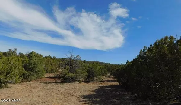 Concho, AZ 85924,4 COUNTY ROAD 3046