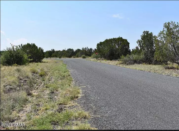 000 Fairway Circle, Concho Valley, AZ 85924