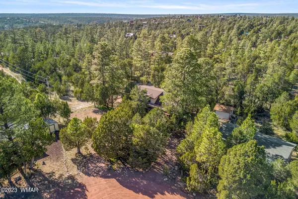 Overgaard, AZ 85933,2938 Breezy Pine DR