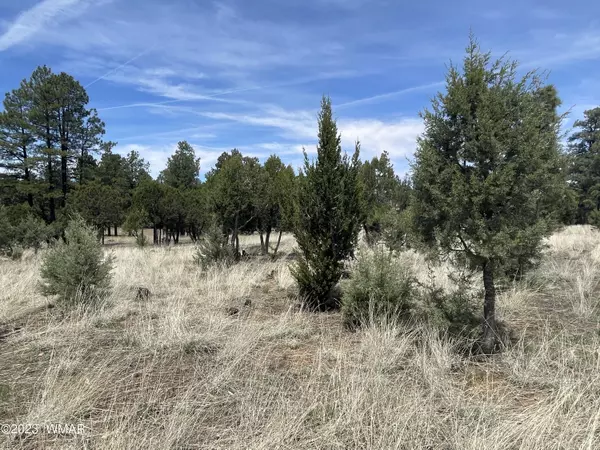 Overgaard, AZ 85933,2218 Forest Park DR