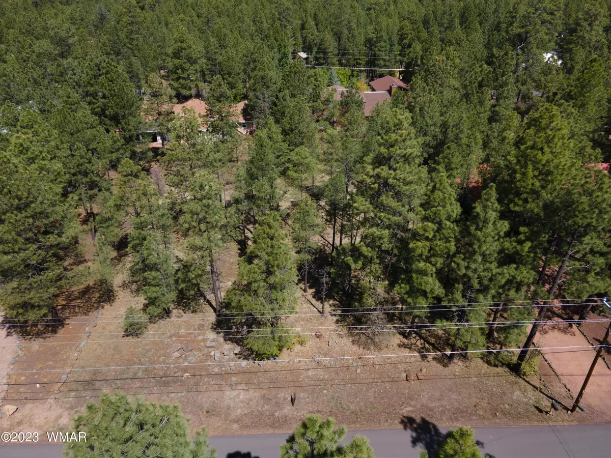 Pinetop, AZ 85935,7466 Buck Springs RD  #175