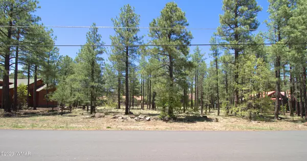 Pinetop, AZ 85935,7466 Buck Springs RD  #175