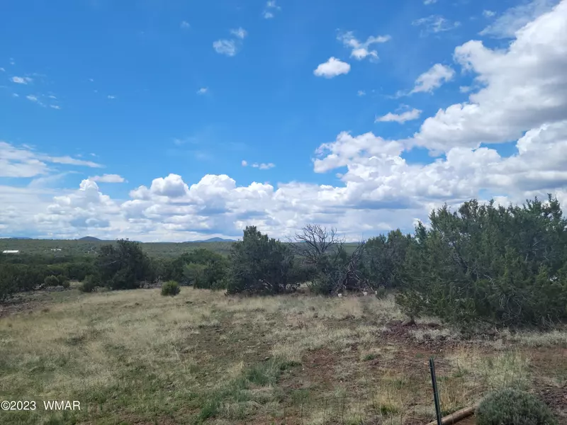 46 Co RD, Concho, AZ 85924