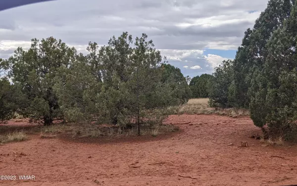 Concho, AZ 85924,TBD Lots 141 &  142 Show Low Pines