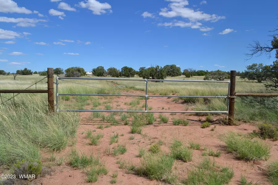 TBD N9160, Concho, AZ 85924