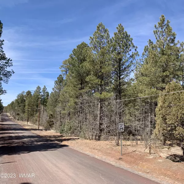 TBD Hilltop Drive, Parcel #1, Lakeside, AZ 85929