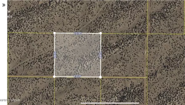 St. Johns, AZ 85936,Lot 684 TBD Woodland Valley Ranch  #6