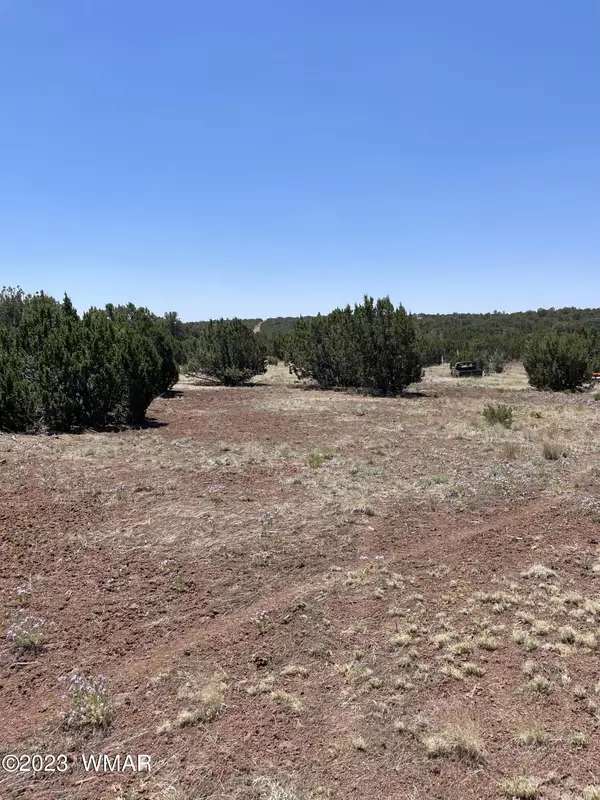 Concho, AZ 85924,20 County RD