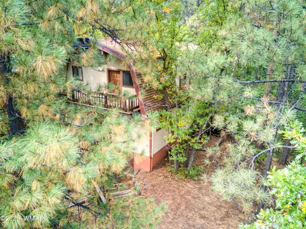 Pinetop, AZ 85935,1876 Woodchuck LN