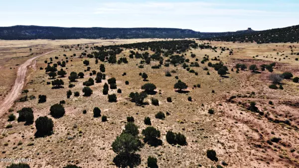 Concho, AZ 85924,Lot 67 Pinon Valley Ranch Unit 2