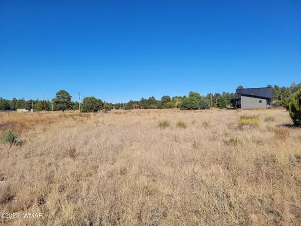 Overgaard, AZ 85933,2278 Cabin DR