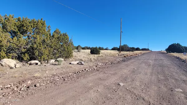 Concho, AZ 85924,12 County Road 8249