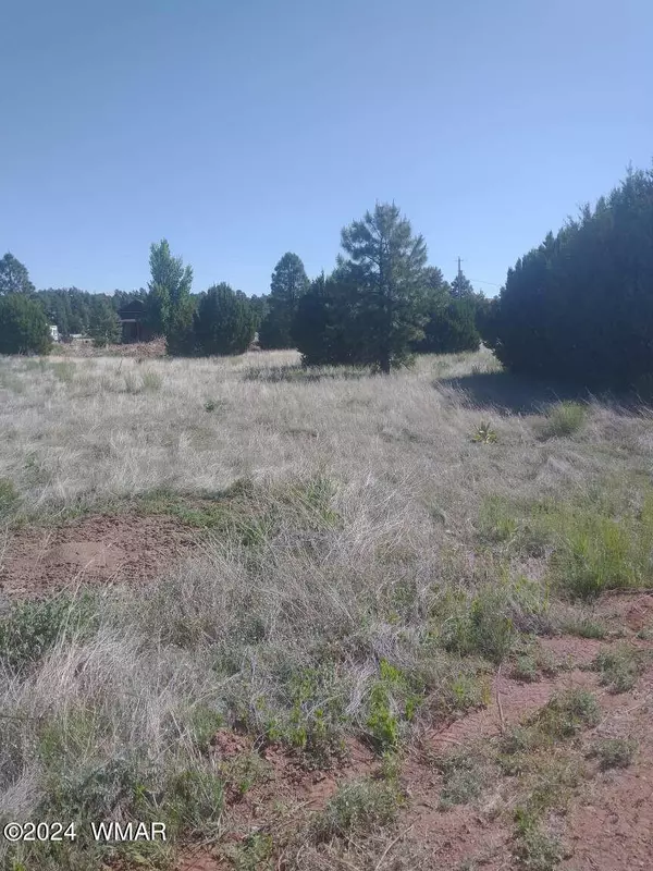 Overgaard, AZ 85933,2224 Meadow LN